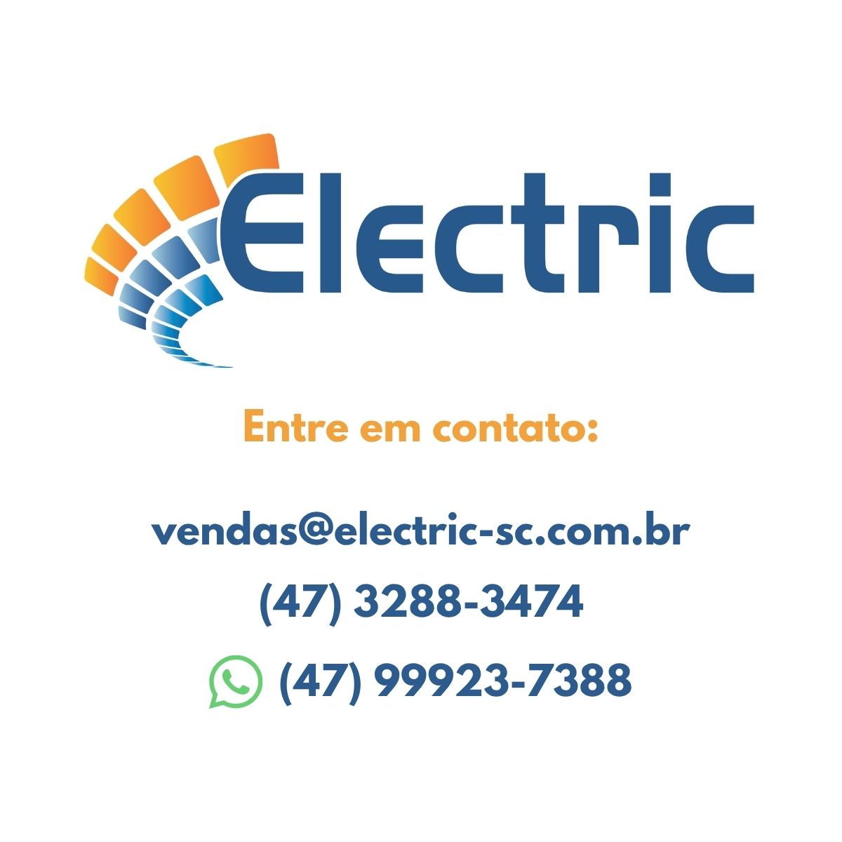 electric representacoes weg